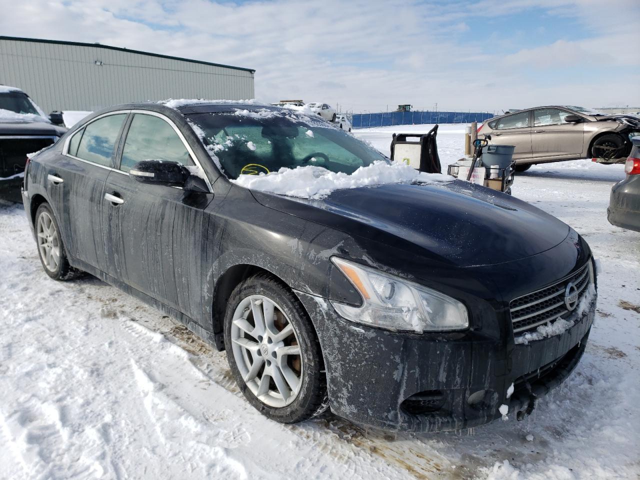 NISSAN MAXIMA S 2010 with VIN 1N4AA5AP5AC831977 - Photo from auction