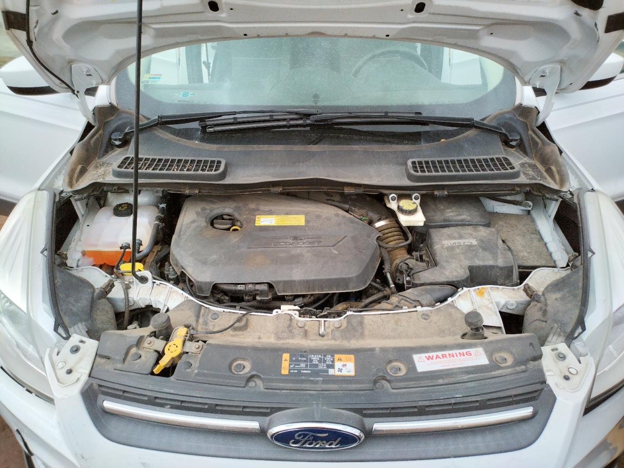 Photo 7 from auction – 2014 FORD ESCAPE SE with VIN 1FMCU0GX0EUA75362