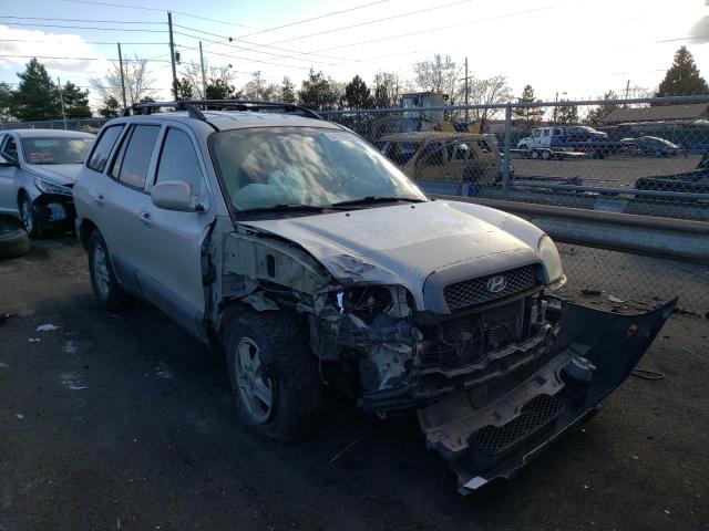 HYUNDAI SANTA FE G 2004 with VIN KM8SC73D64U850751 - Photo from auction