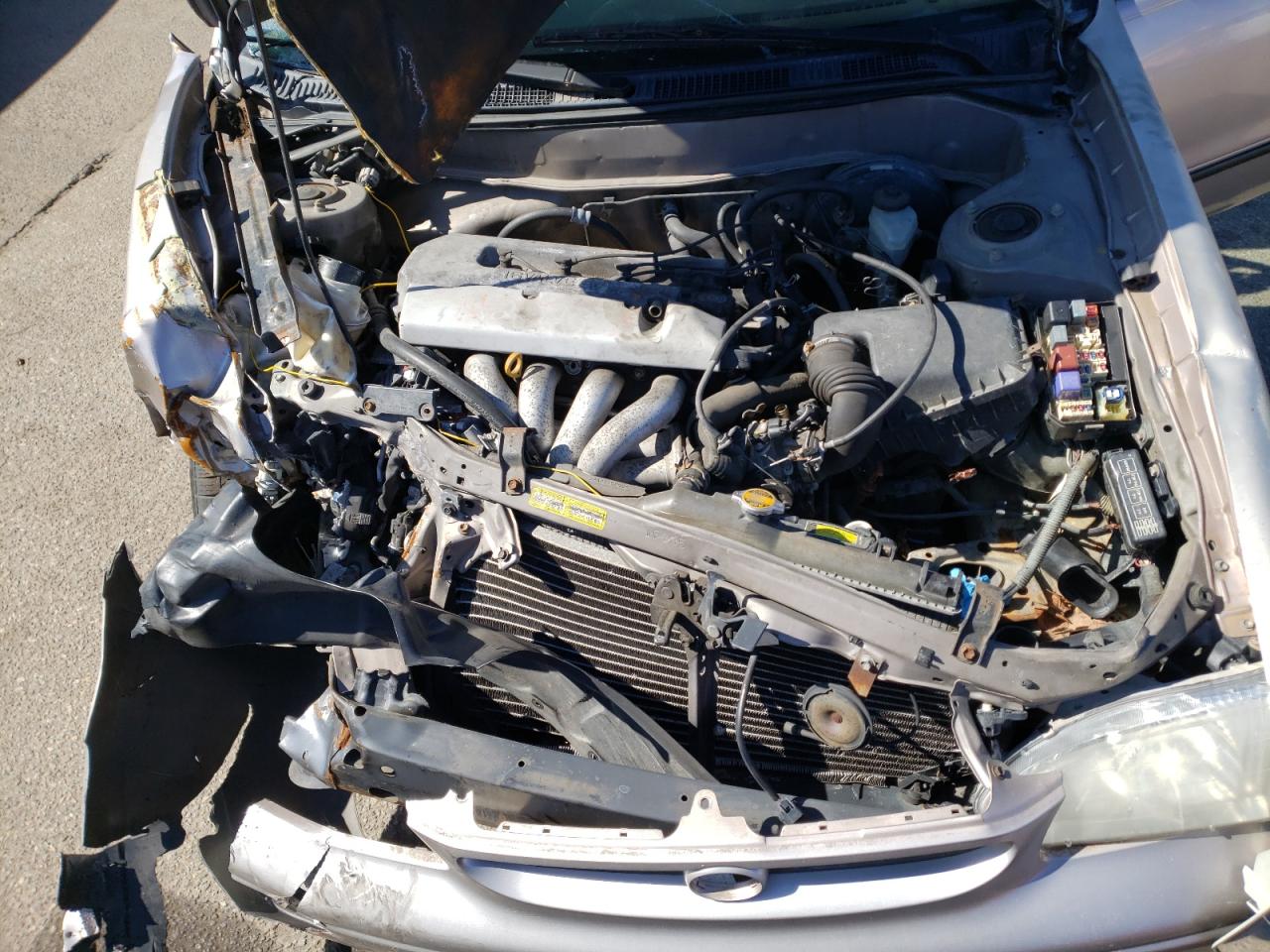 Photo 7 from auction – 1998 TOYOTA COROLLA VE with VIN 2T1BR12E6WC014562