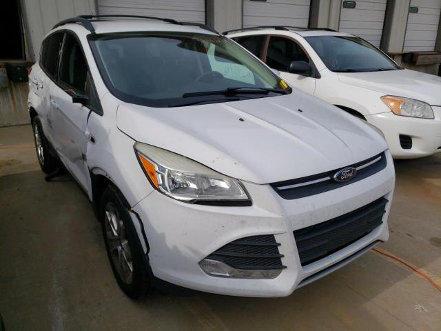 Photo 1 from auction – 2013 FORD ESCAPE SE with VIN 1FMCU0GX4DUB93395