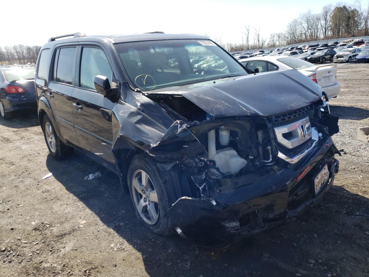 HONDA PILOT EXL 2009 with VIN 5FNYF48699B019534 - Photo from auction