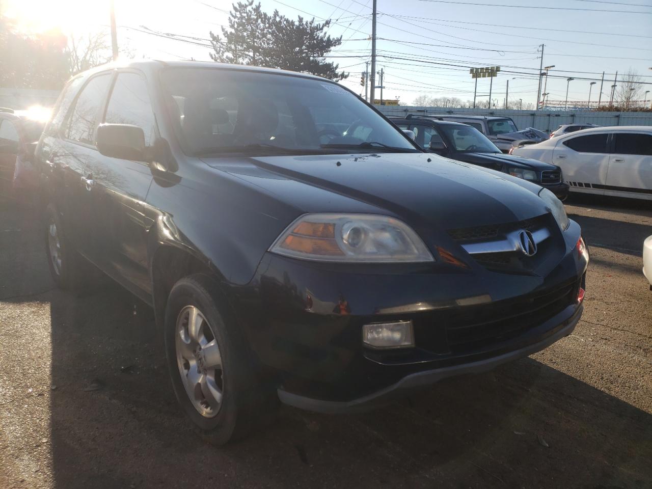 ACURA MDX 2005 with VIN 2HNYD18275H510555 - Photo from auction