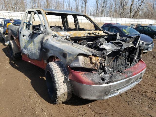 DODGE RAM 1500 2010 with VIN 1D7RV1GT0AS233130 - Photo from auction
