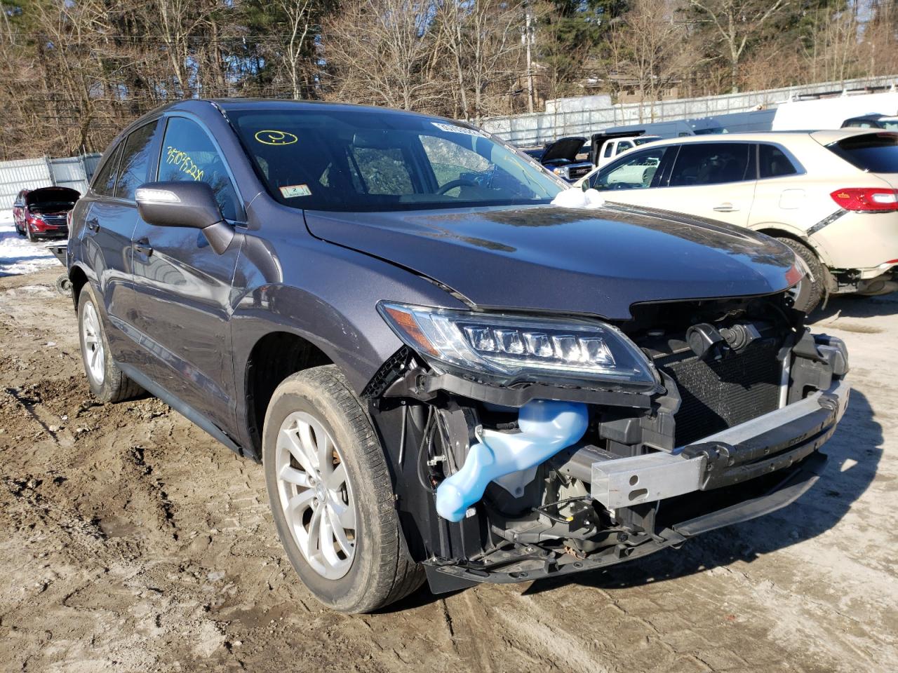 ACURA RDX 2017 with VIN 5J8TB4H38HL014219 - Photo from auction
