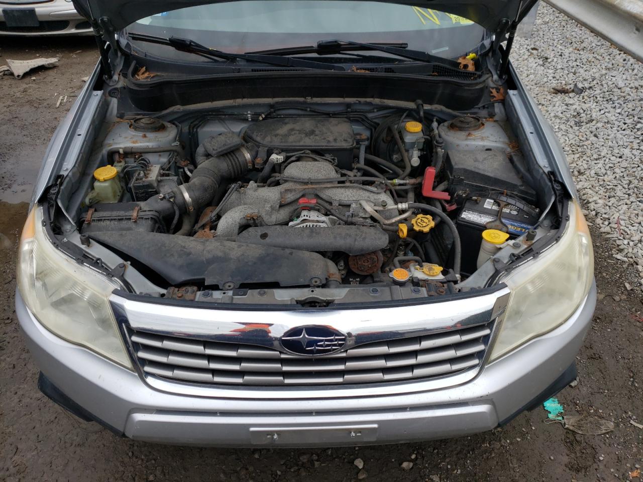Photo 7 from auction – 2010 SUBARU FORESTER with VIN JF2SH6AC3AH748484