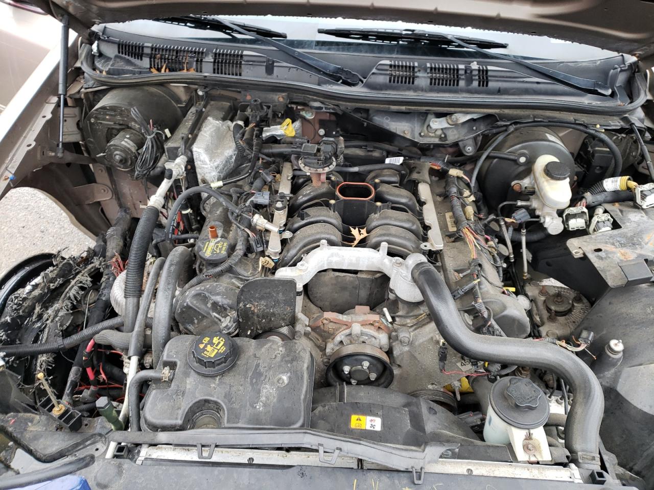 Photo 7 from auction – 2011 FORD CROWN VICT with VIN 2FABP7BV4BX161385