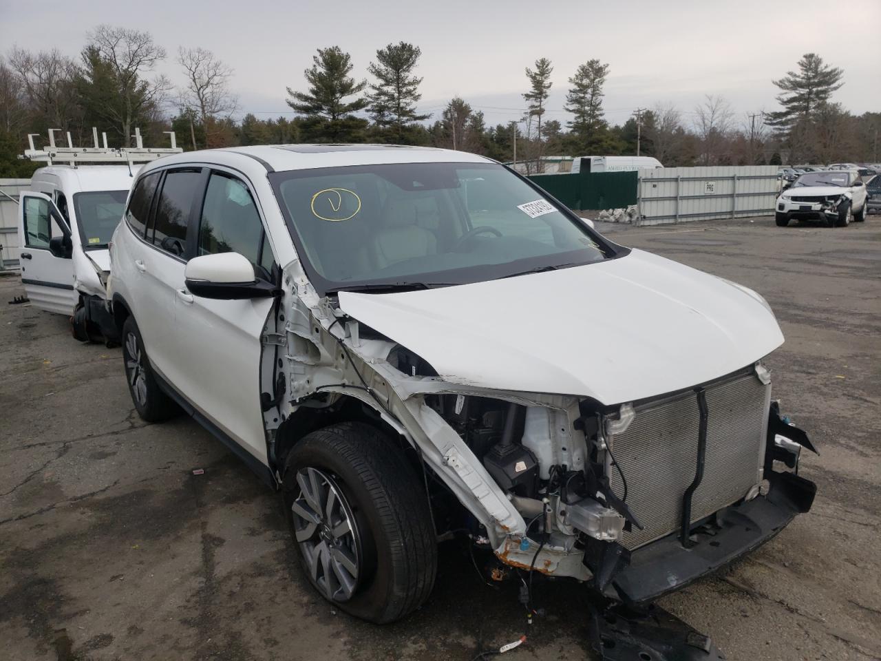 HONDA PILOT EXL 2021 with VIN 5FNYF6H55MB015783 - Photo from auction