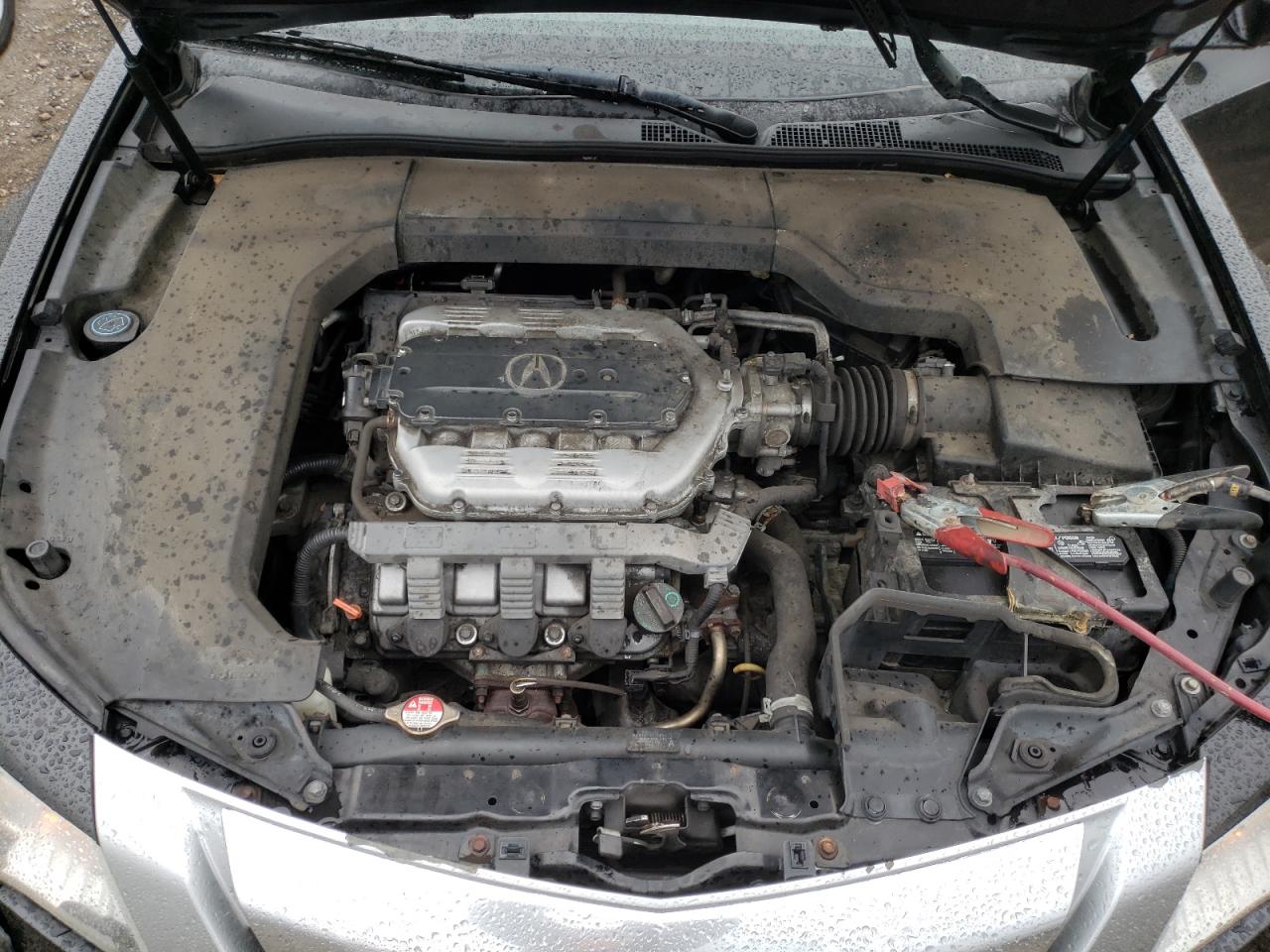 Photo 7 from auction – 2010 ACURA TL with VIN 19UUA8F5XAA008006