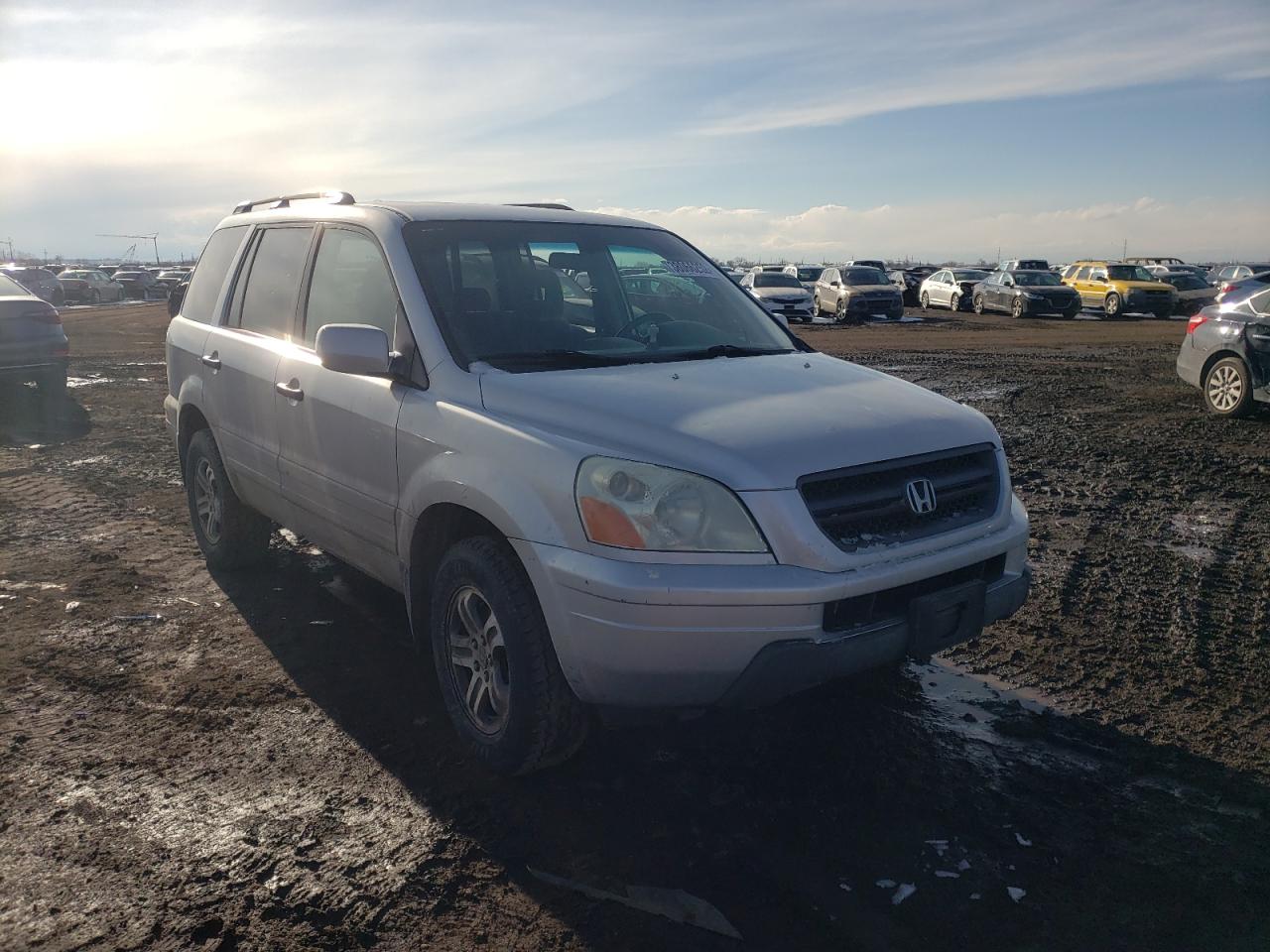 HONDA PILOT EX 2004 z numerem VIN 2HKYF18434H530065 - Zdjęcie z aukcji