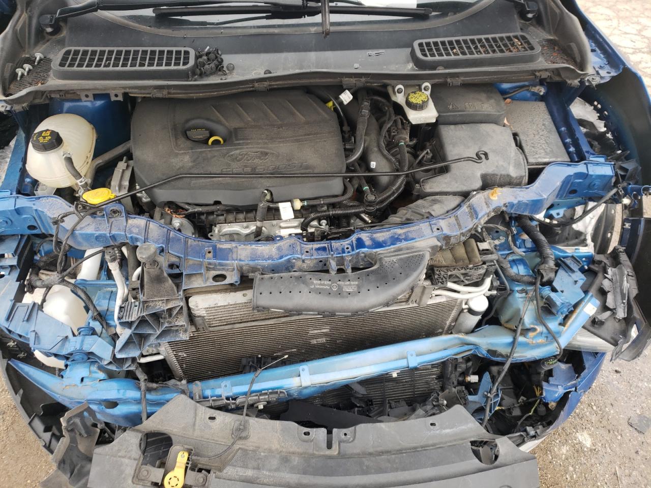 Photo 7 from auction – 2017 FORD ESCAPE SE with VIN 1FMCU0GD7HUB79647
