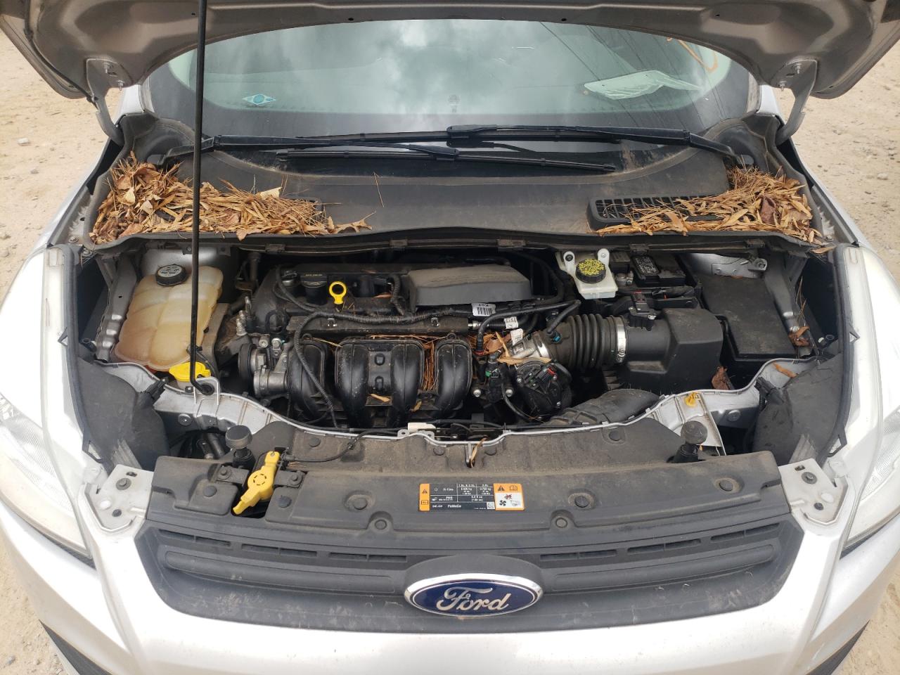 Photo 7 from auction – 2013 FORD ESCAPE S with VIN 1FMCU0F70DUD63964