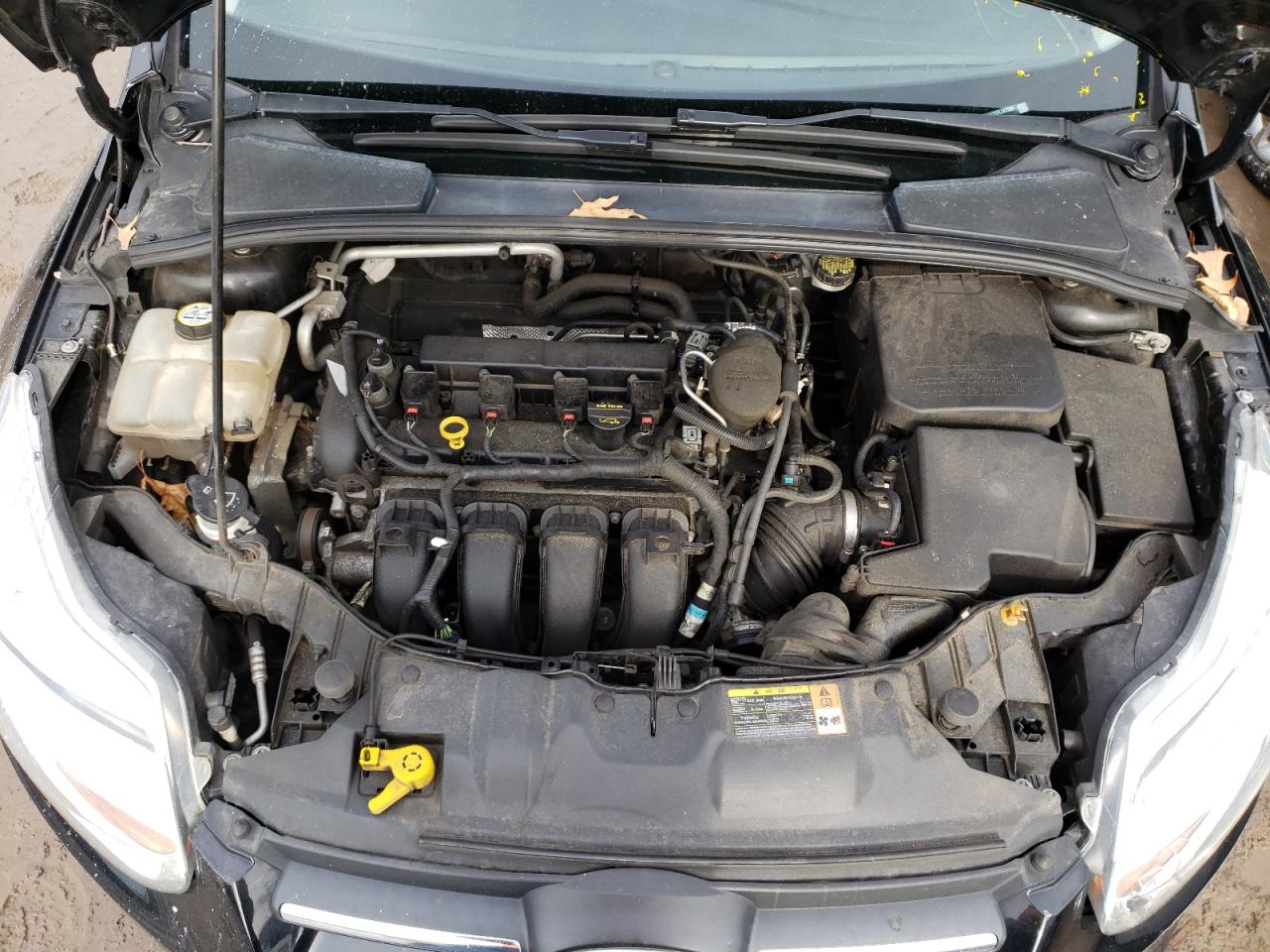 Photo 7 from auction – 2013 FORD FOCUS SE with VIN 1FADP3F28DL247008