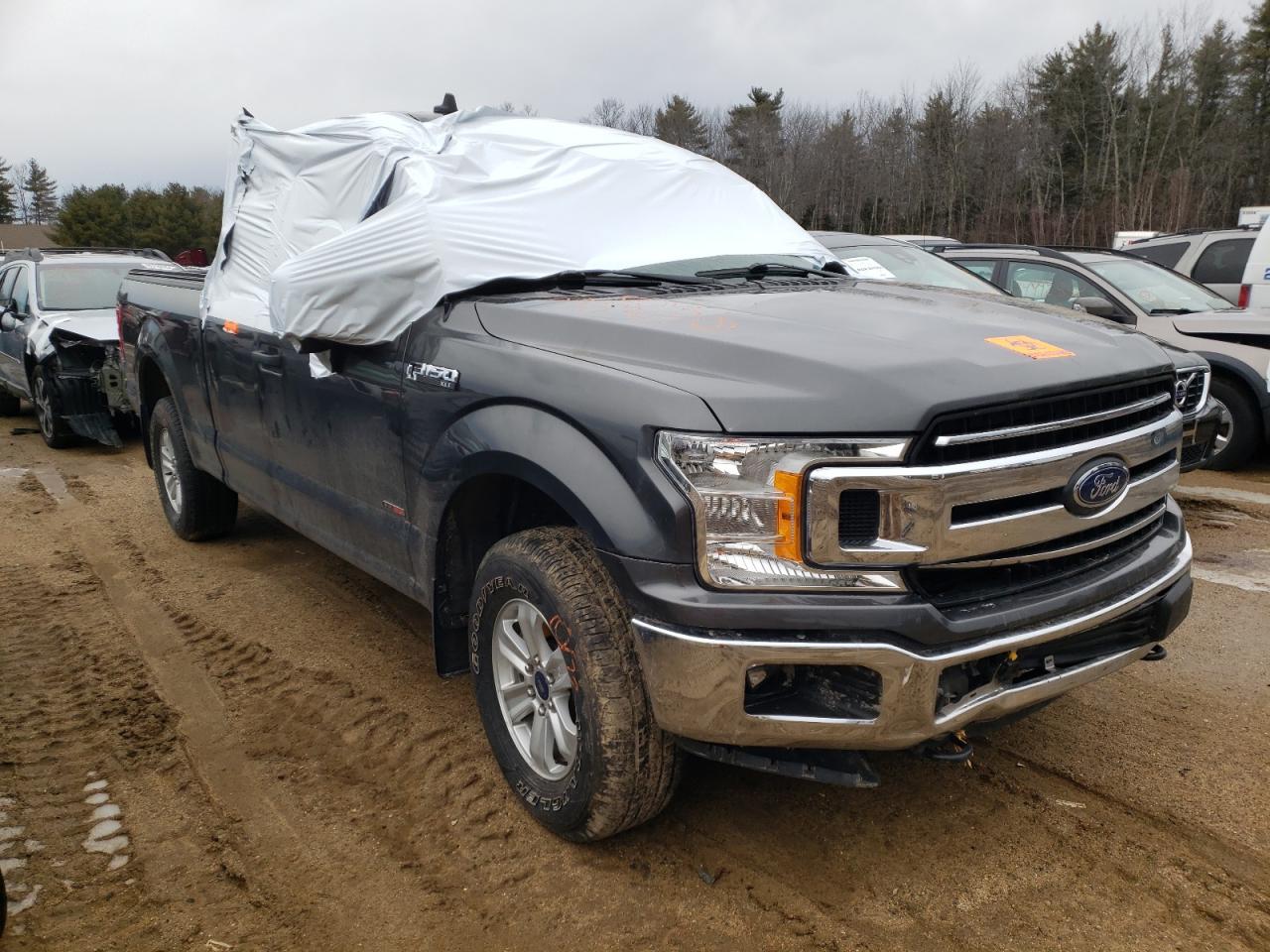 FORD F150 SUPER 2019 with VIN 1FTFX1E52KKC06458 - Photo from auction
