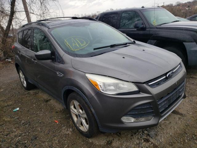 FORD ESCAPE SE 2013 with VIN 1FMCU0G92DUB90805 - Photo from auction