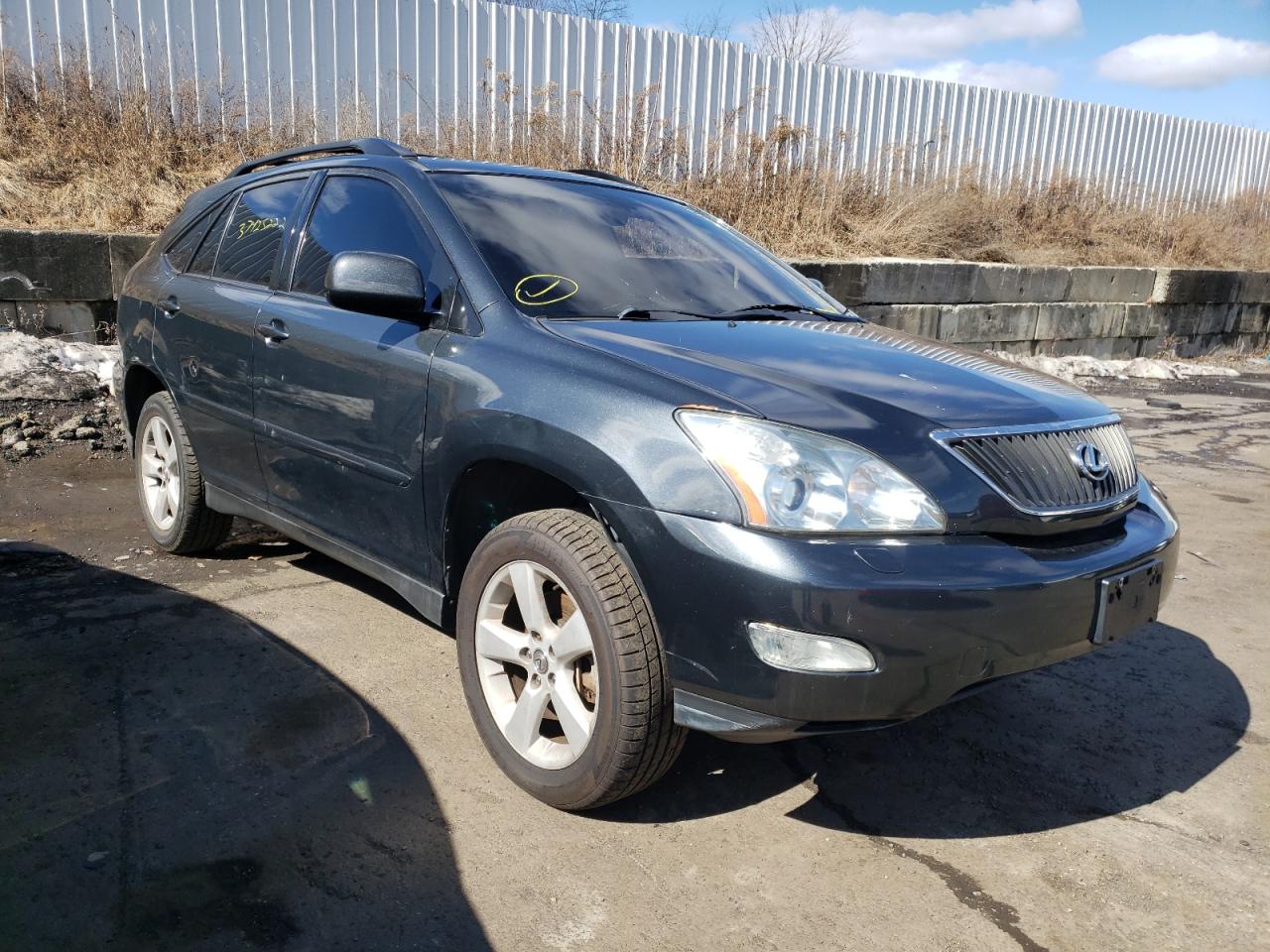 LEXUS RX 330 2004 with VIN JTJHA31U240012687 - Photo from auction