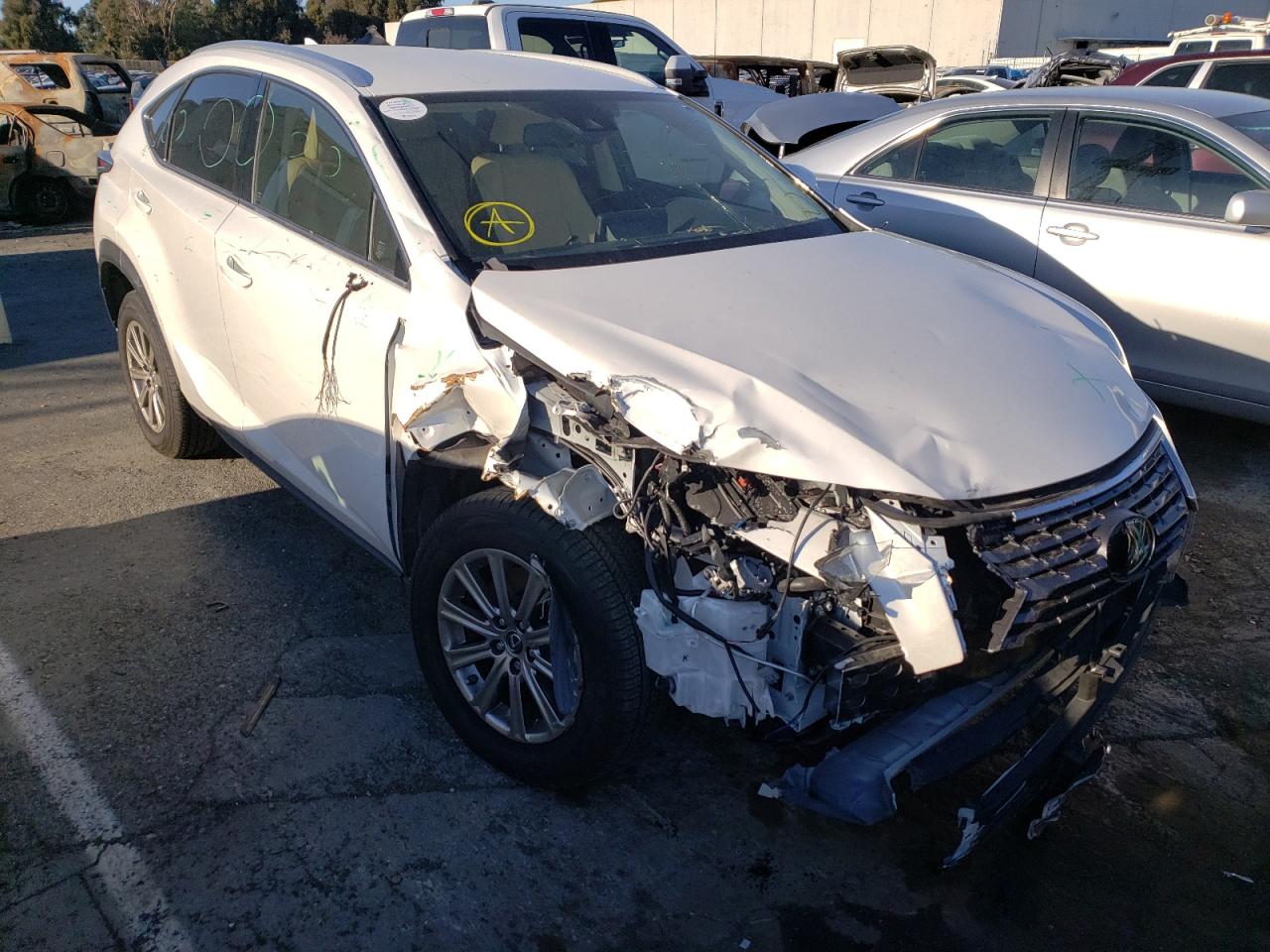 LEXUS NX 300 BAS 2021 with VIN JTJDARBZ3M5023986 - Photo from auction