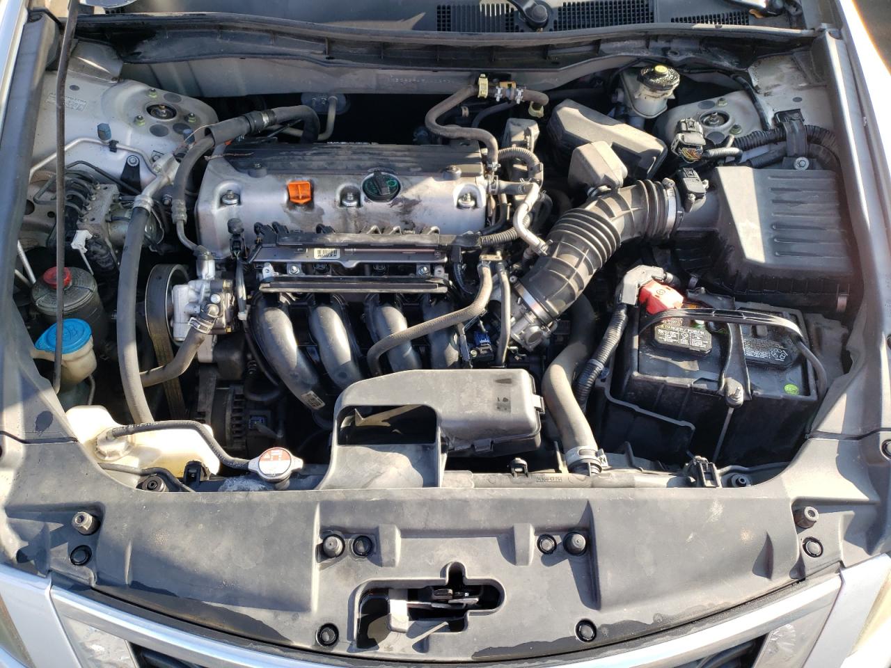 Photo 7 from auction – 2010 HONDA ACCORD LXP with VIN 1HGCP2F45AA039341