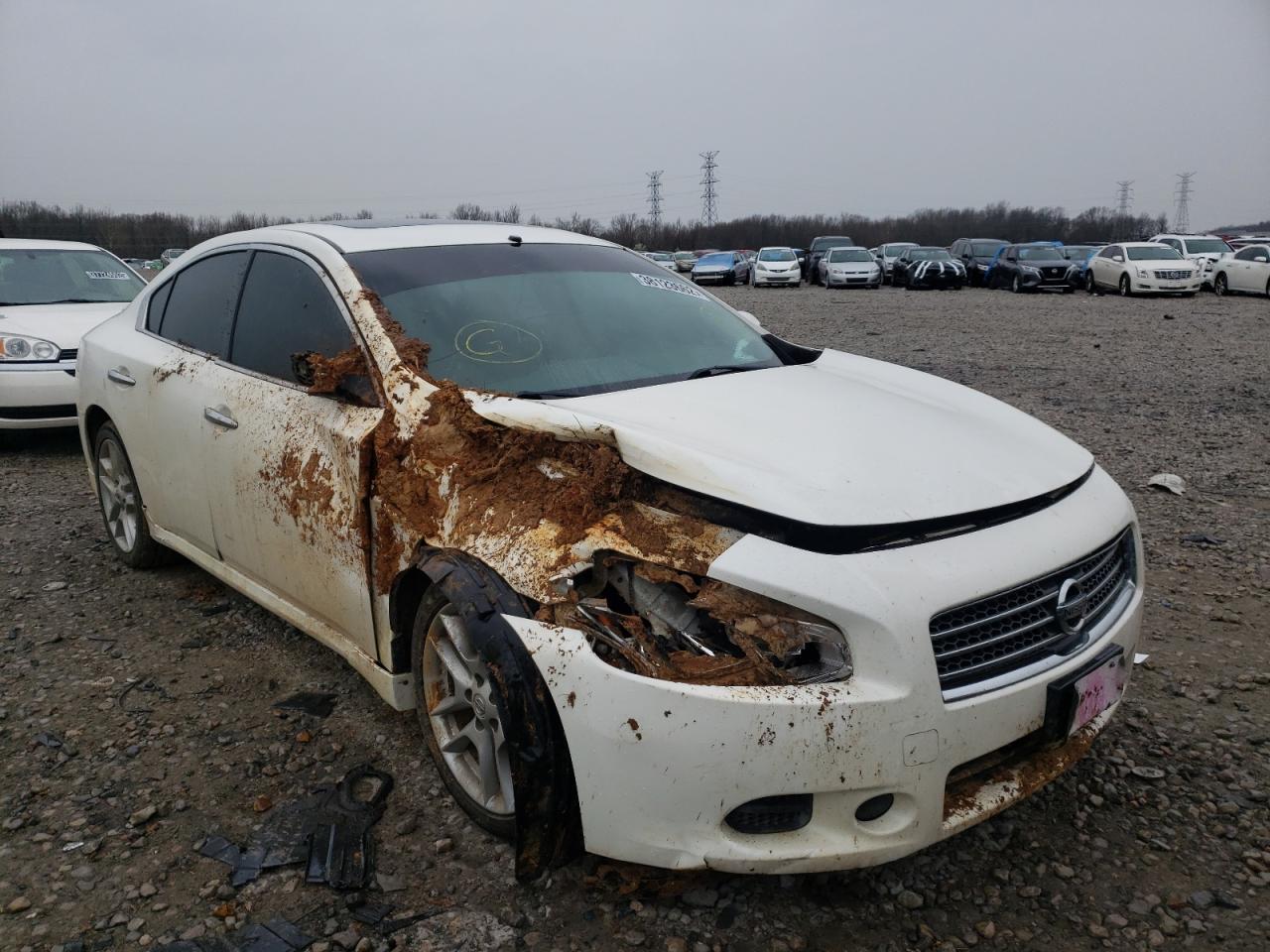 NISSAN MAXIMA S 2010 with VIN 1N4AA5AP5AC868849 - Photo from auction