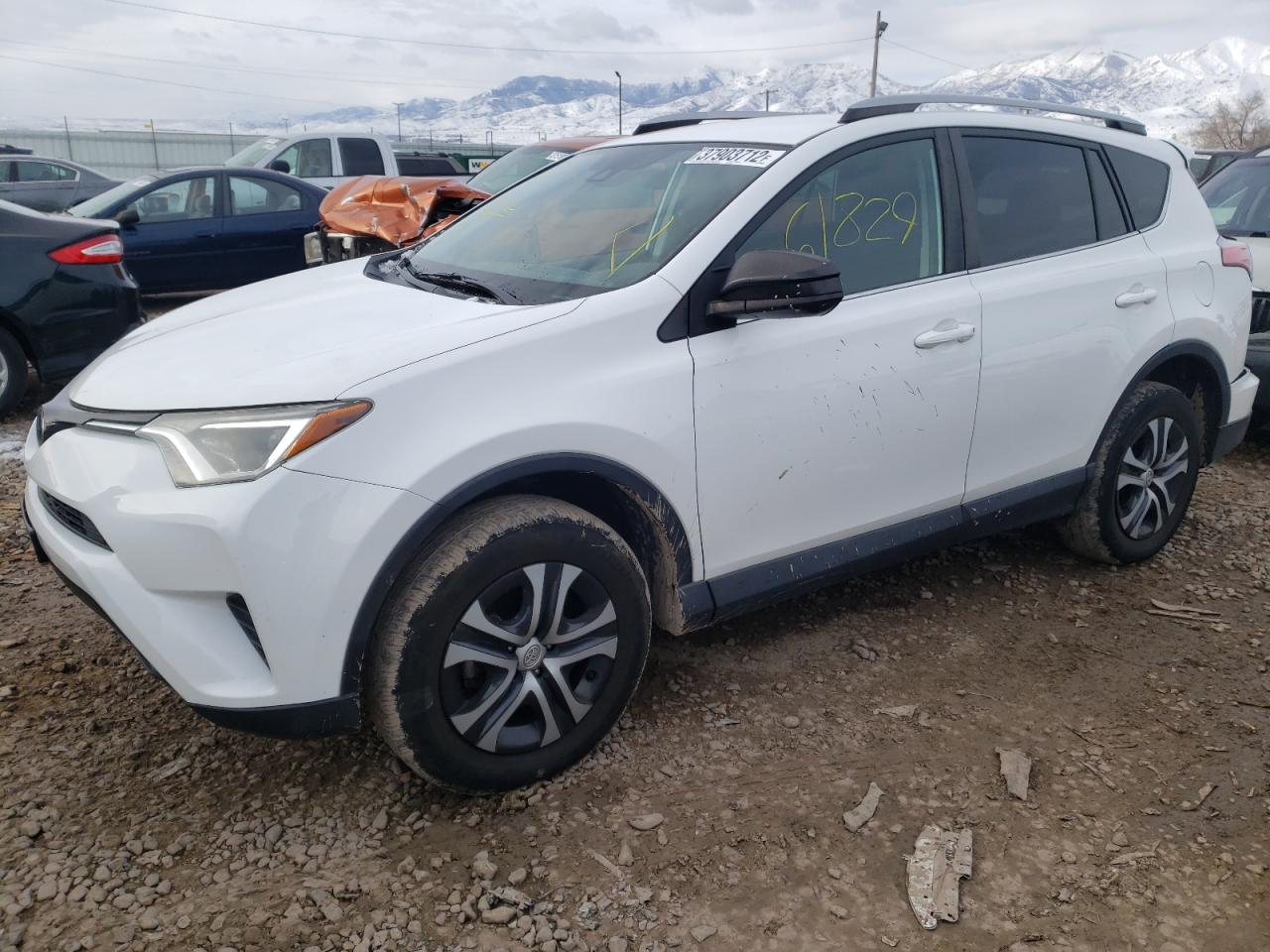 Photo 2 from auction – 2017 TOYOTA RAV4 LE with VIN 2T3BFREV4HW620339