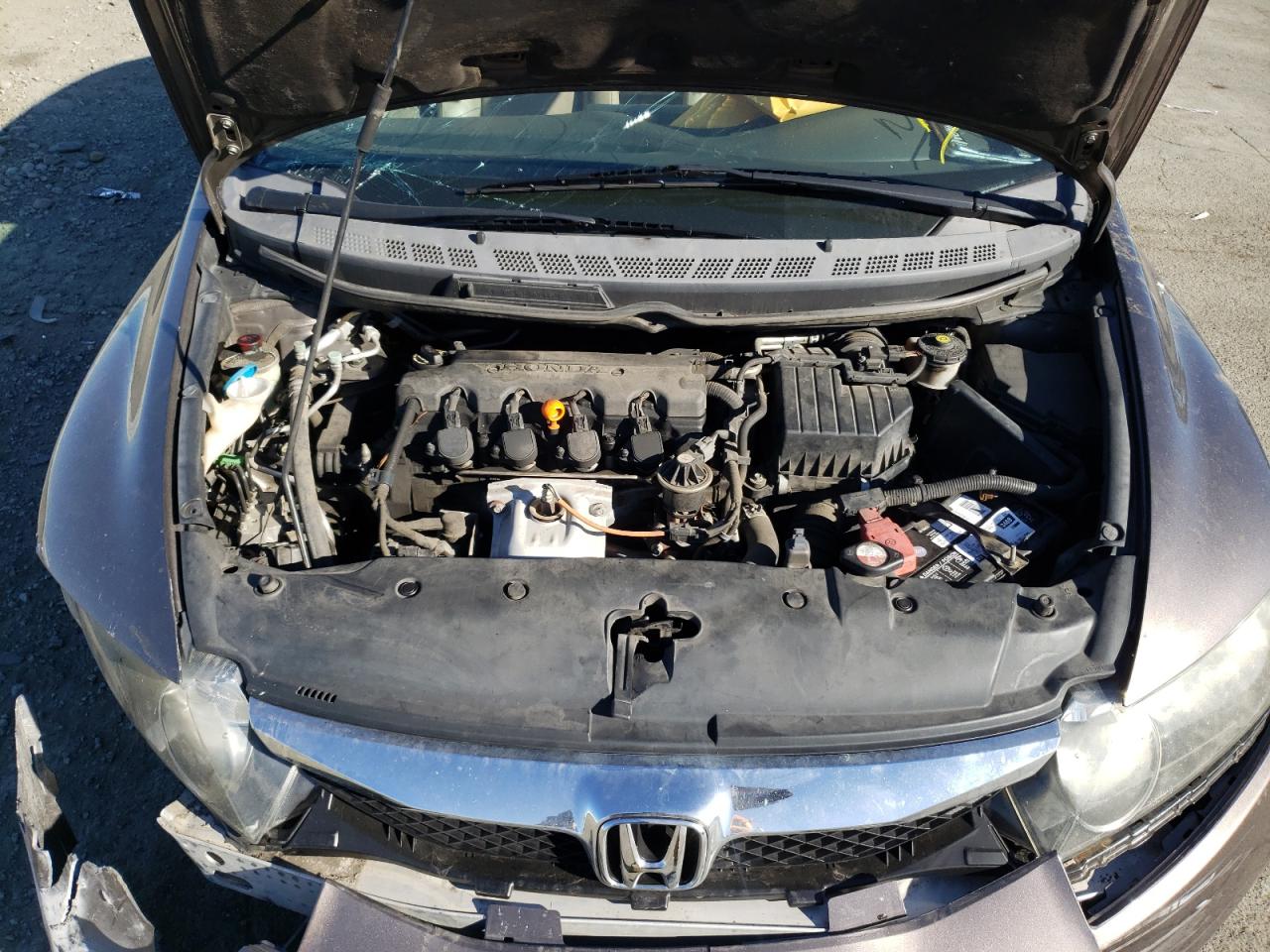 Photo 7 from auction – 2009 HONDA CIVIC EXL with VIN 19XFA16989E035991