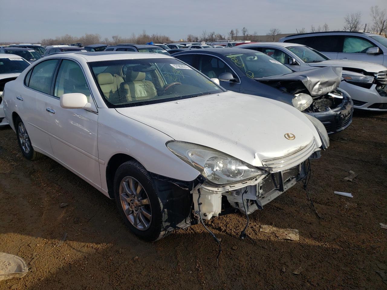 LEXUS ES 300 2002 with VIN JTHBF30G620065930 - Photo from auction