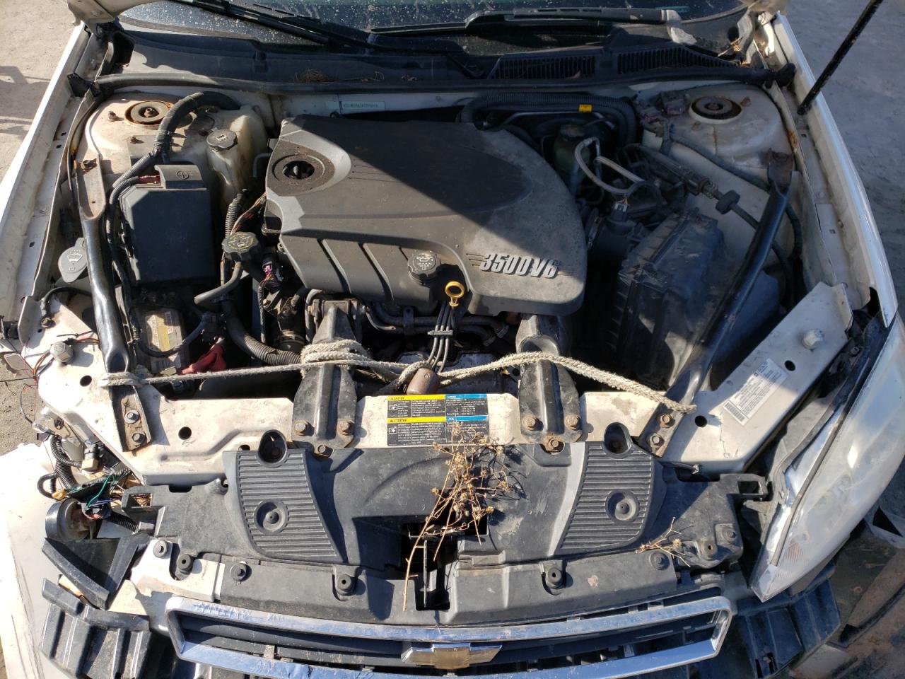 Photo 7 from auction – 2008 CHEVROLET IMPALA LS with VIN 2G1WB58K781259651