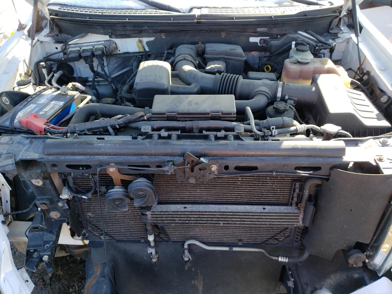 Photo 7 from auction – 2010 FORD F150 SUPER with VIN 1FTFX1EV7AFC86654