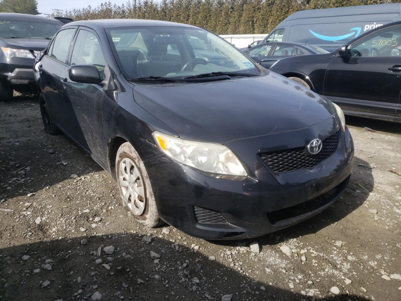 TOYOTA COROLLA BA 2009 with VIN JTDBL40E19J024317 - Photo from auction