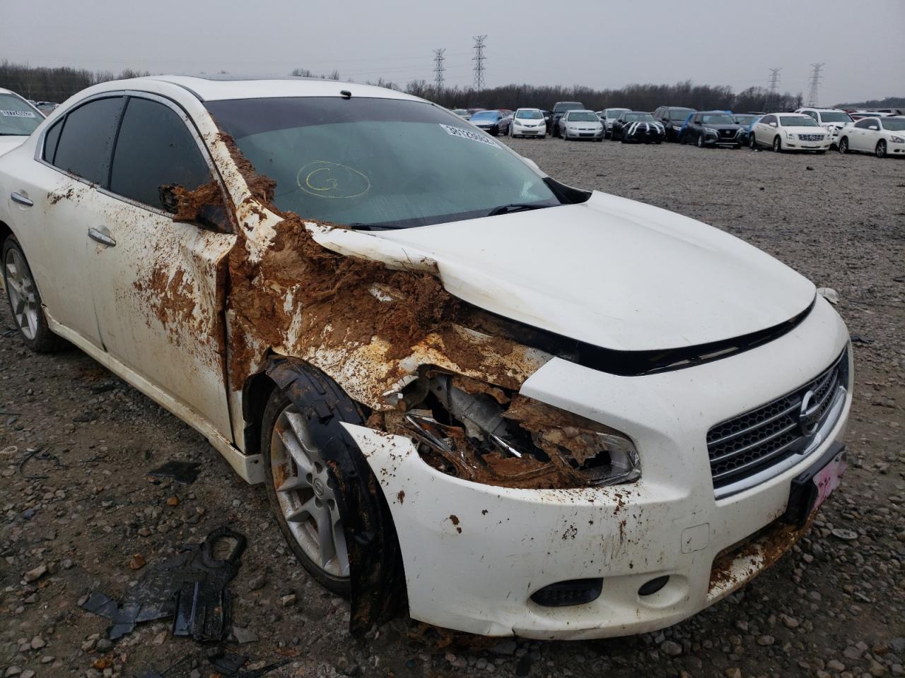 Photo 9 from auction – 2010 NISSAN MAXIMA S with VIN 1N4AA5AP5AC868849