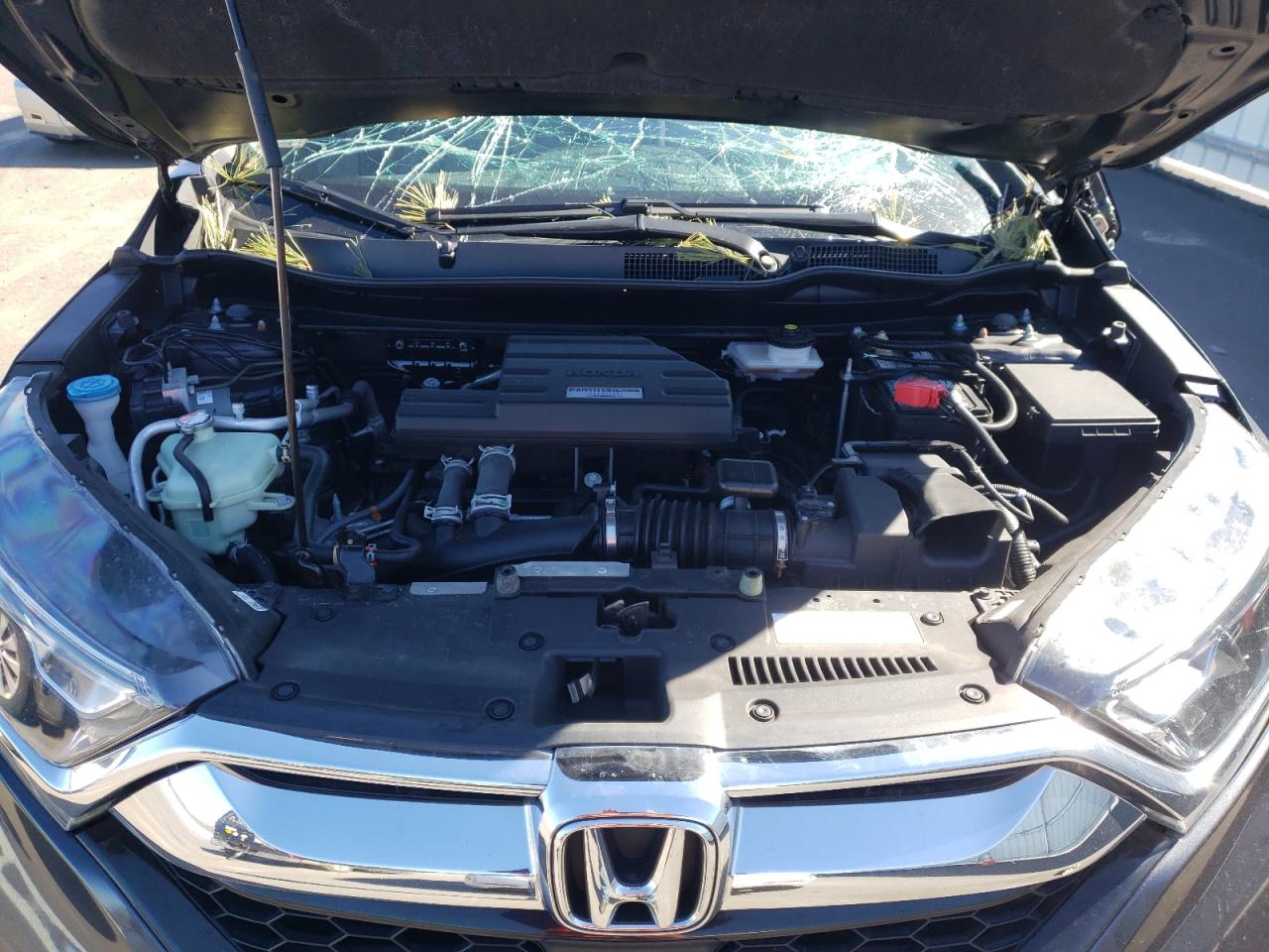 Photo 7 from auction – 2017 HONDA CR-V EX with VIN 5J6RW2H59HL076547