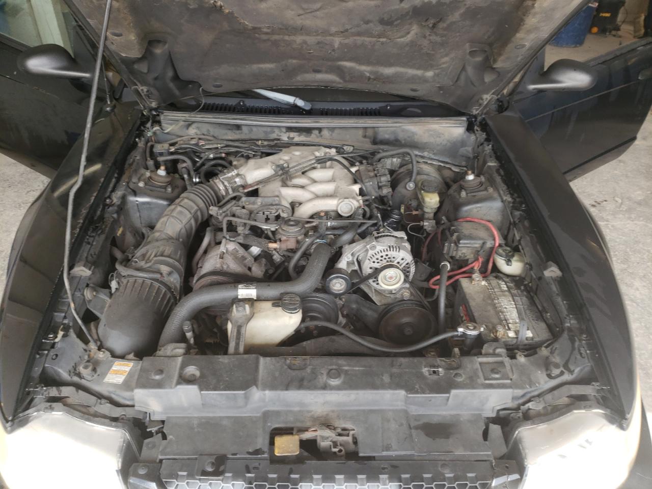 Photo 7 from auction – 1999 FORD MUSTANG with VIN 1FAFP4046XF104344
