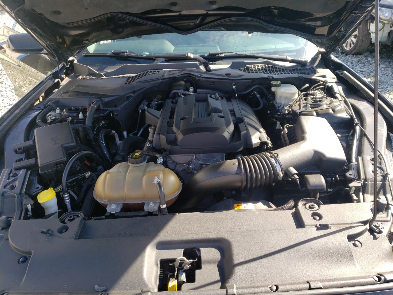 Photo 7 from auction – 2015 FORD MUSTANG with VIN 1FA6P8TH3F5351427