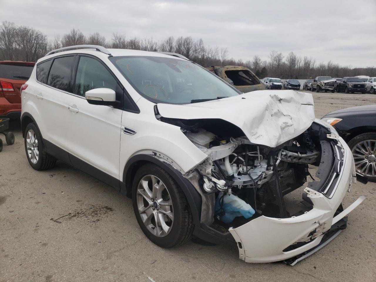 FORD ESCAPE TIT 2014 with VIN 1FMCU0JX1EUC91052 - Photo from auction