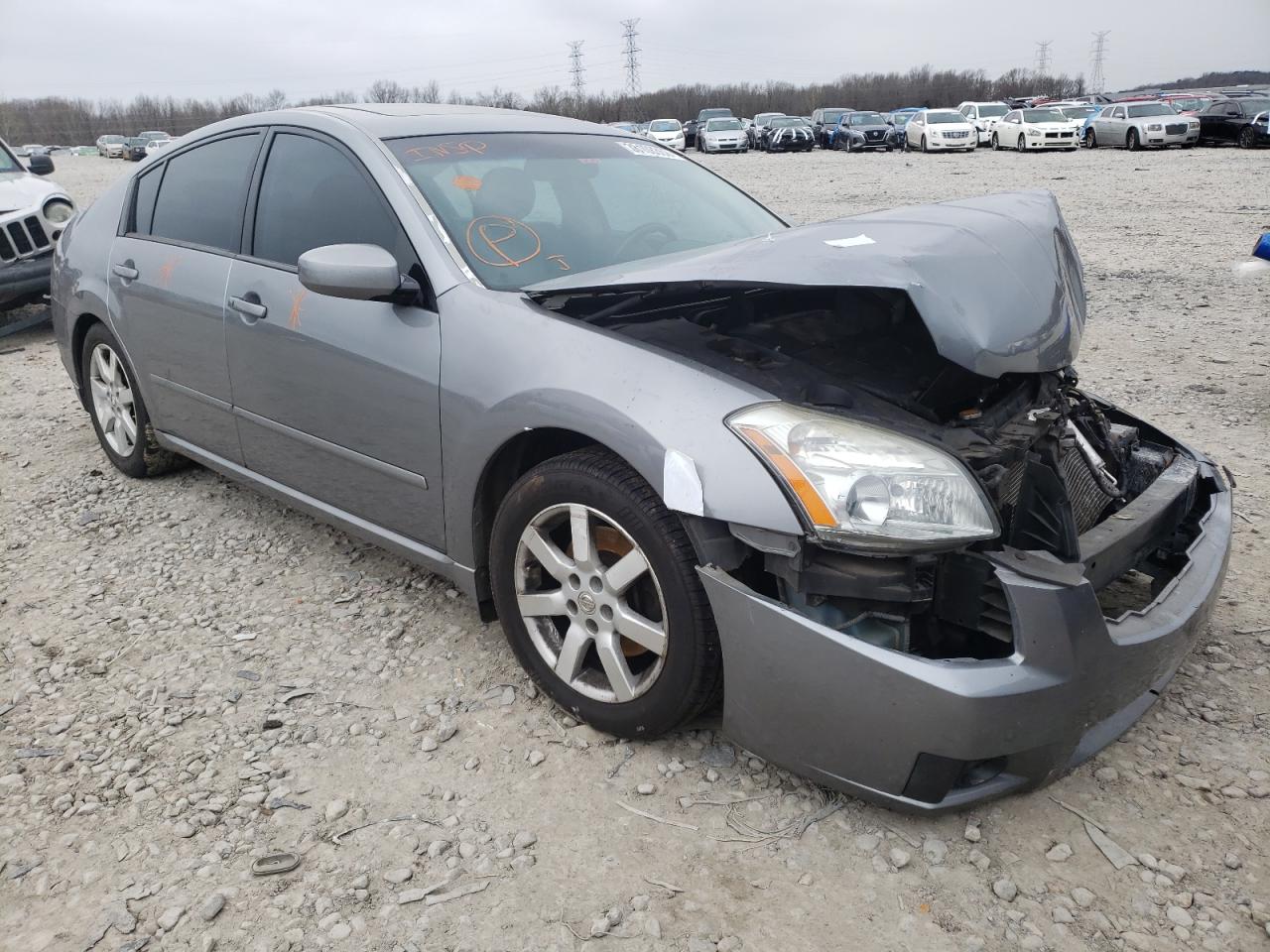 NISSAN MAXIMA SE 2008 with VIN 1N4BA41EX8C838964 - Photo from auction