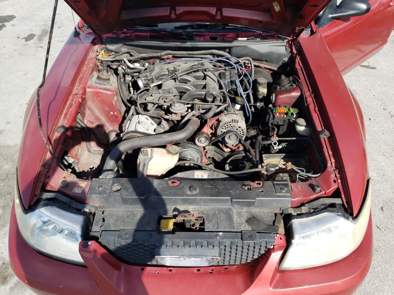 Photo 7 from auction – 2000 FORD MUSTANG with VIN 1FAFP404XYF287958