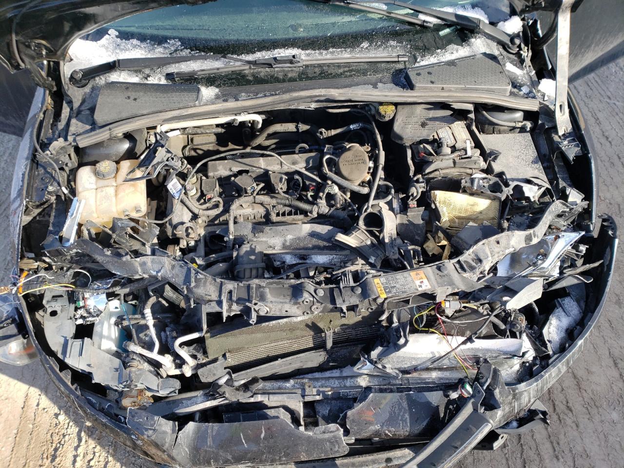 Photo 7 from auction – 2014 FORD FOCUS SE with VIN 1FADP3K23EL450007