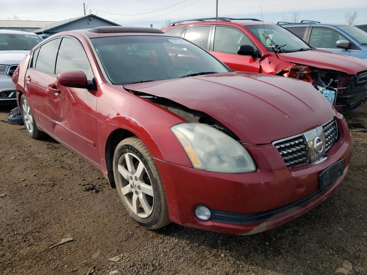 NISSAN MAXIMA SL 2006 with VIN 1N4BA41E76C835257 - Photo from auction