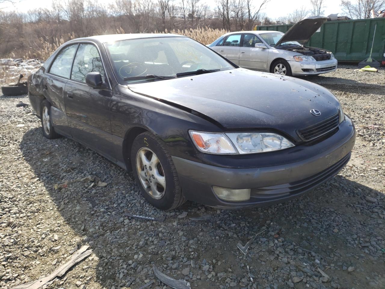LEXUS ES 300 1998 with VIN JT8BF28GXW5046854 - Photo from auction
