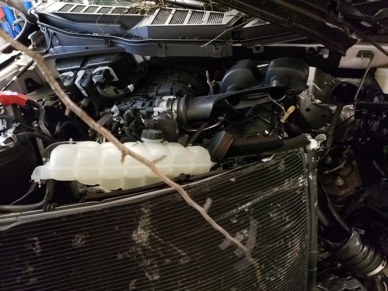 Photo 7 from auction – 2021 FORD F150 SUPER with VIN 1FTEX1EB3MFC15702