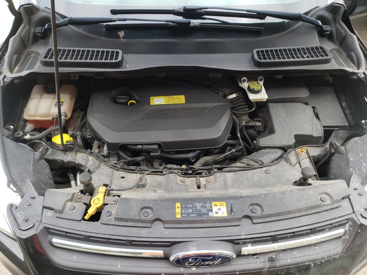 Photo 7 from auction – 2013 FORD ESCAPE SE with VIN 1FMCU9GX3DUC90690