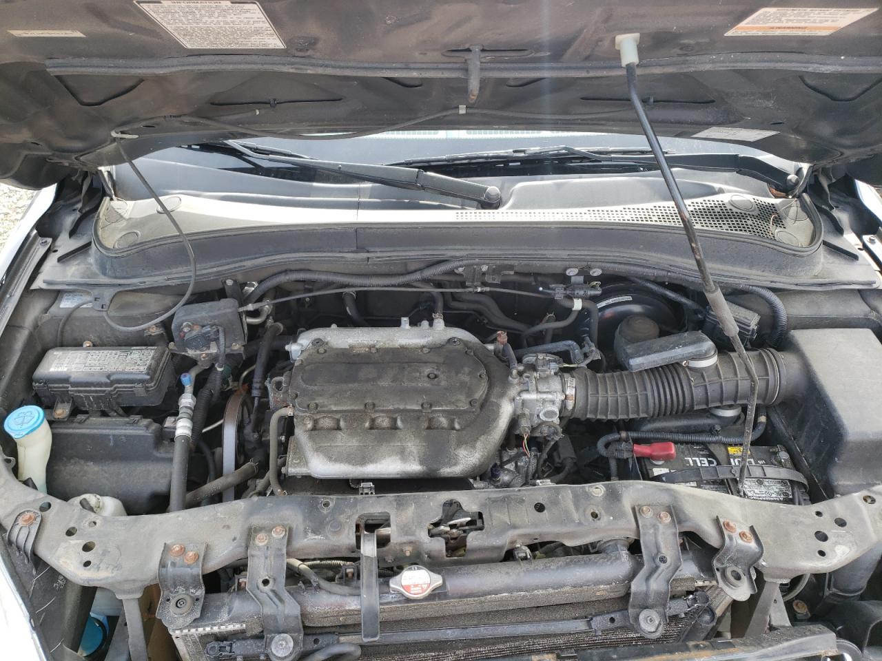 Photo 7 from auction – 2005 HONDA PILOT EXL with VIN 2HKYF186X5H547304