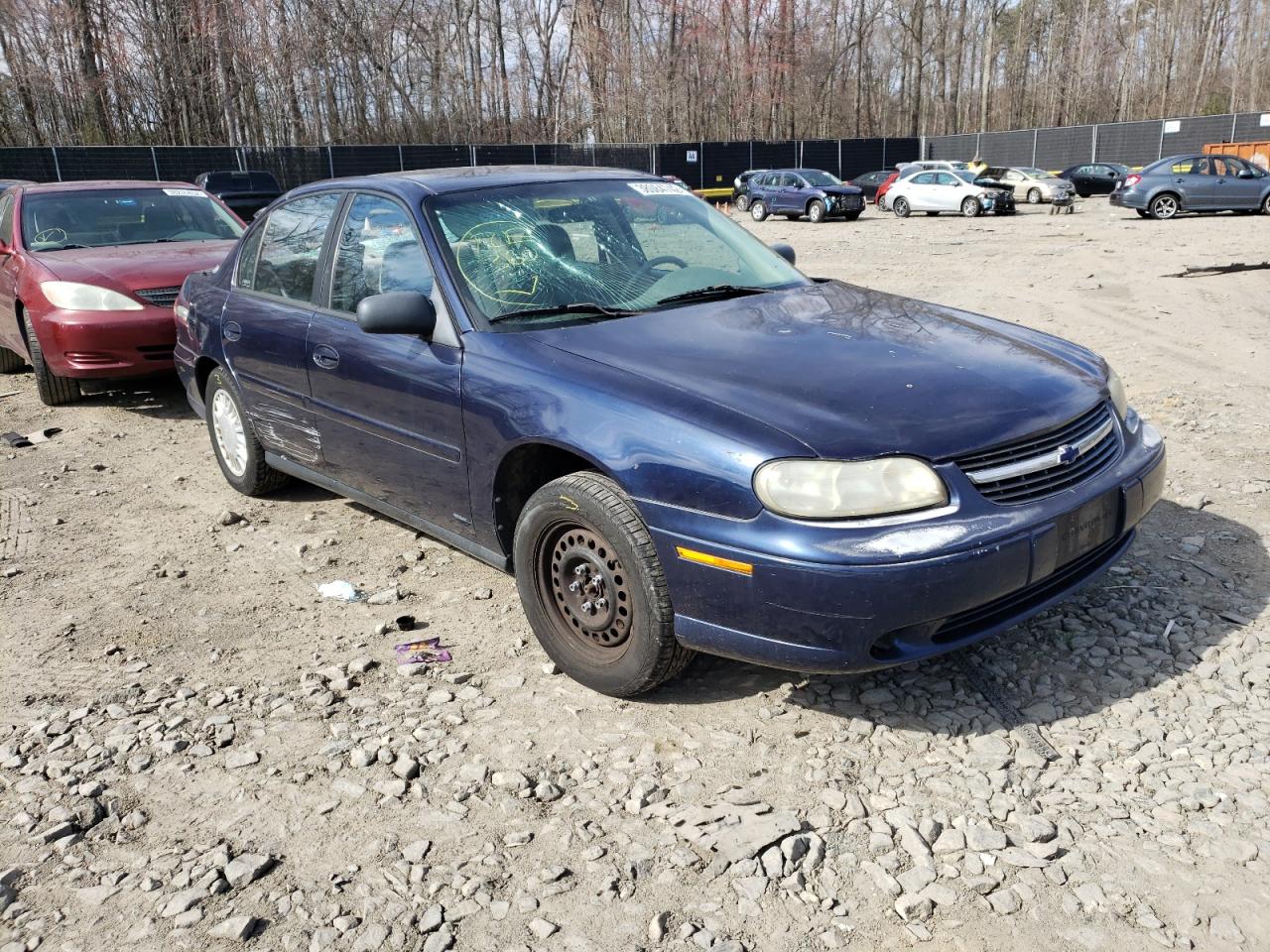 CHEVROLET MALIBU 2001 with VIN 1G1ND52J116117123 - Photo from auction
