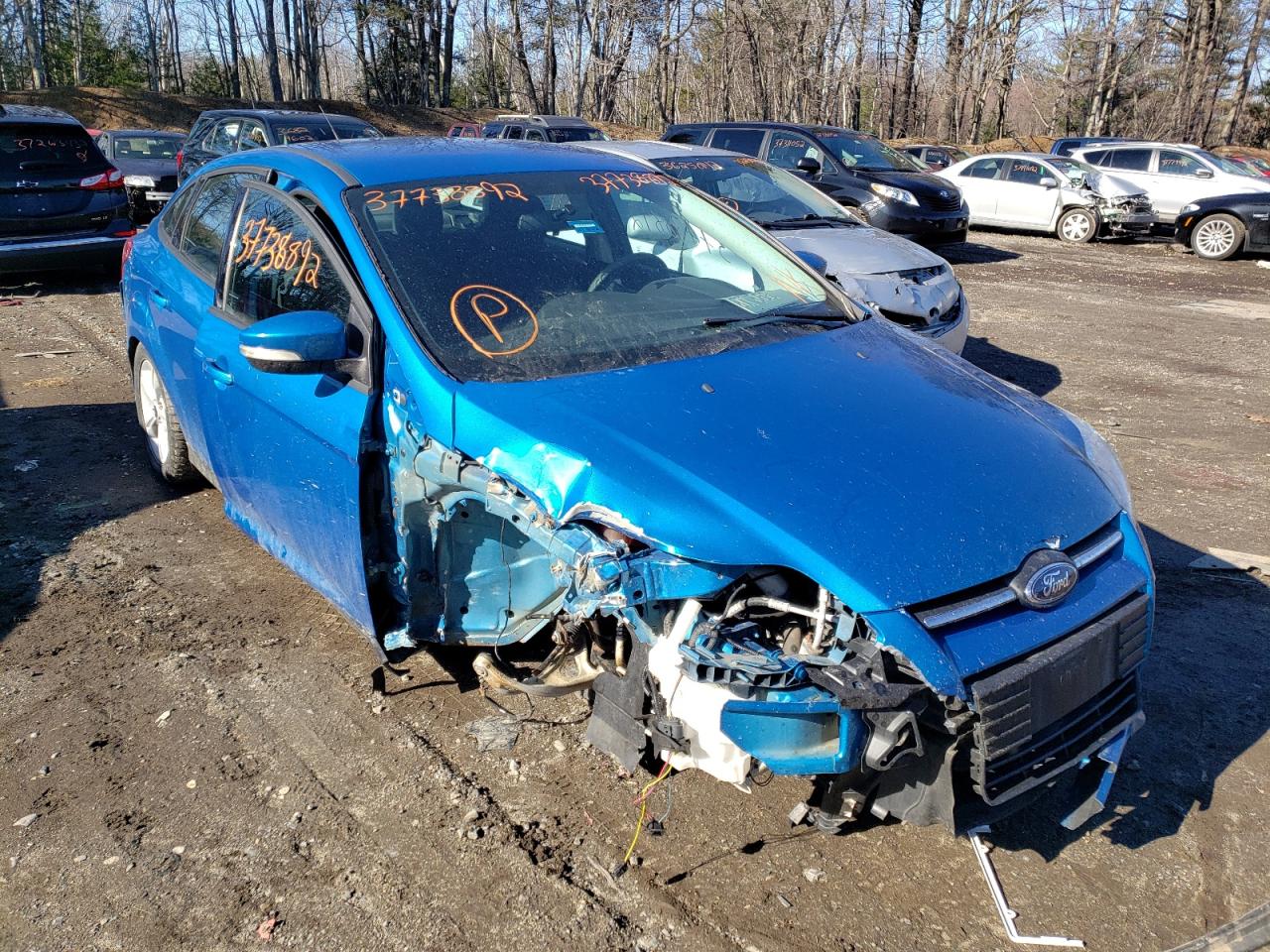 FORD FOCUS SE 2014 with VIN 1FADP3F22EL445794 - Photo from auction