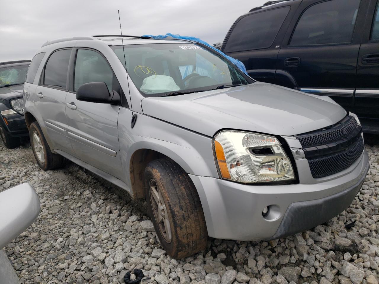 CHEVROLET EQUINOX LT 2005 with VIN 2CNDL63F156192096 - Photo from auction