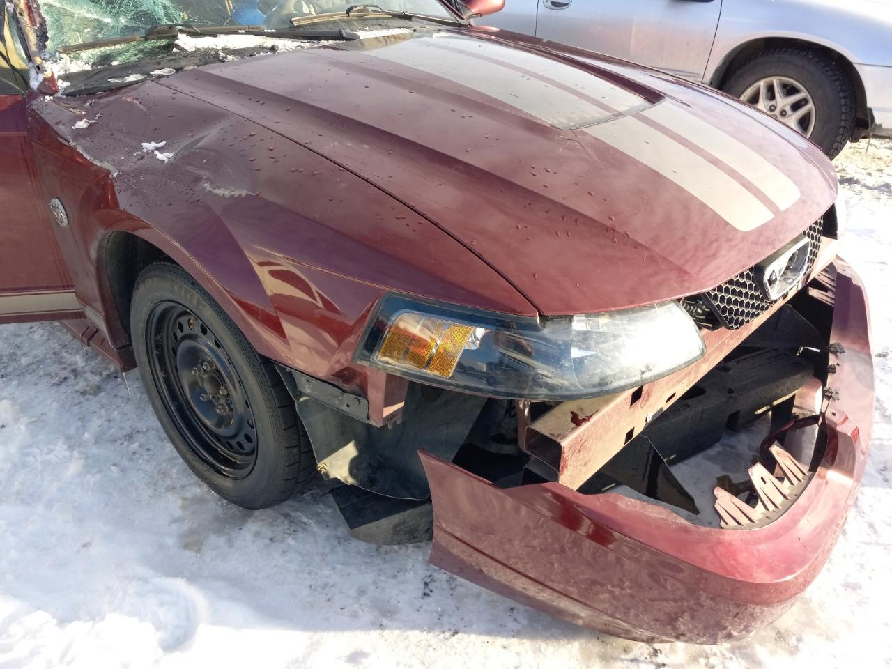 Photo 9 from auction – 2004 FORD MUSTANG with VIN 1FAFP40494F121649