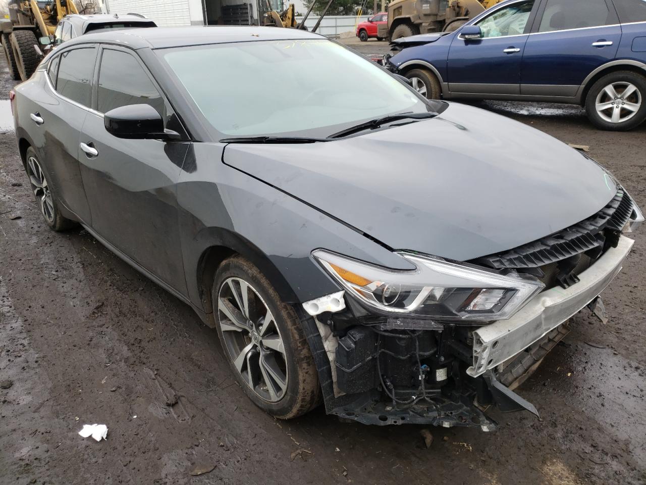 NISSAN MAXIMA 3.5 2016 with VIN 1N4AA6AP9GC446064 - Photo from auction