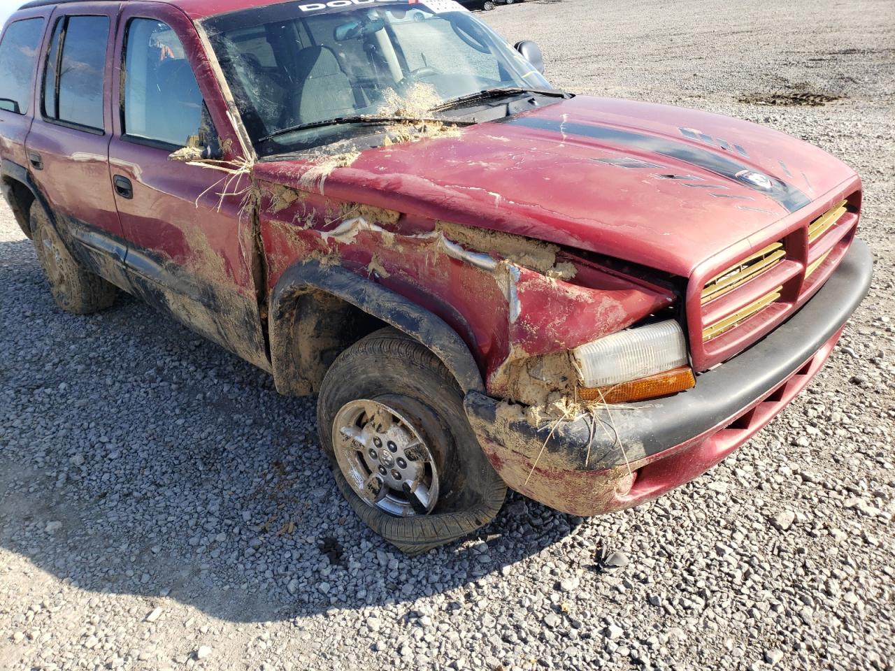 Photo 9 from auction – 2001 DODGE DURANGO with VIN 1B4HS28N61F544071