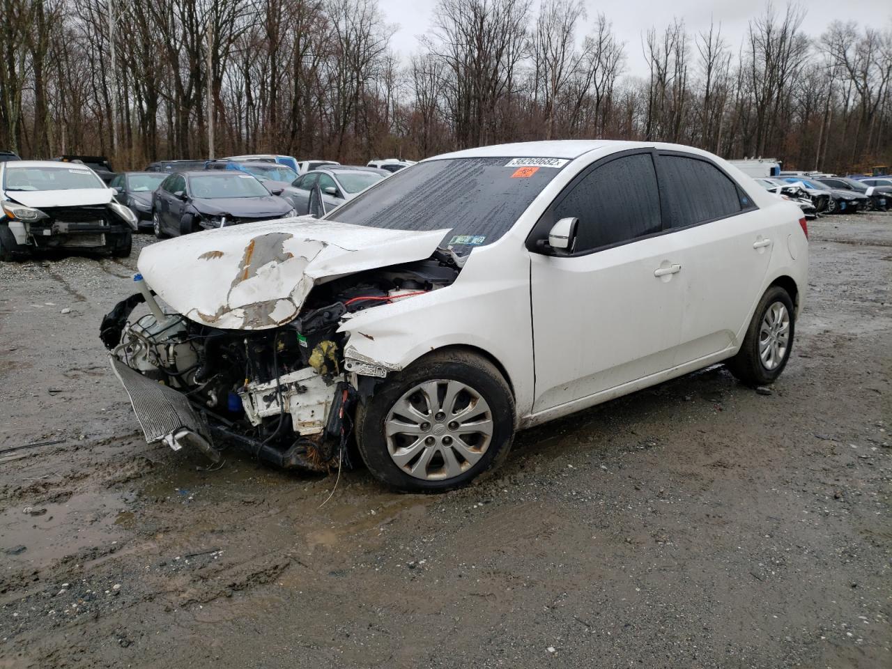 Фото 2 с аукциона – 2011 KIA FORTE EX с VIN KNAFU4A2XB5358733