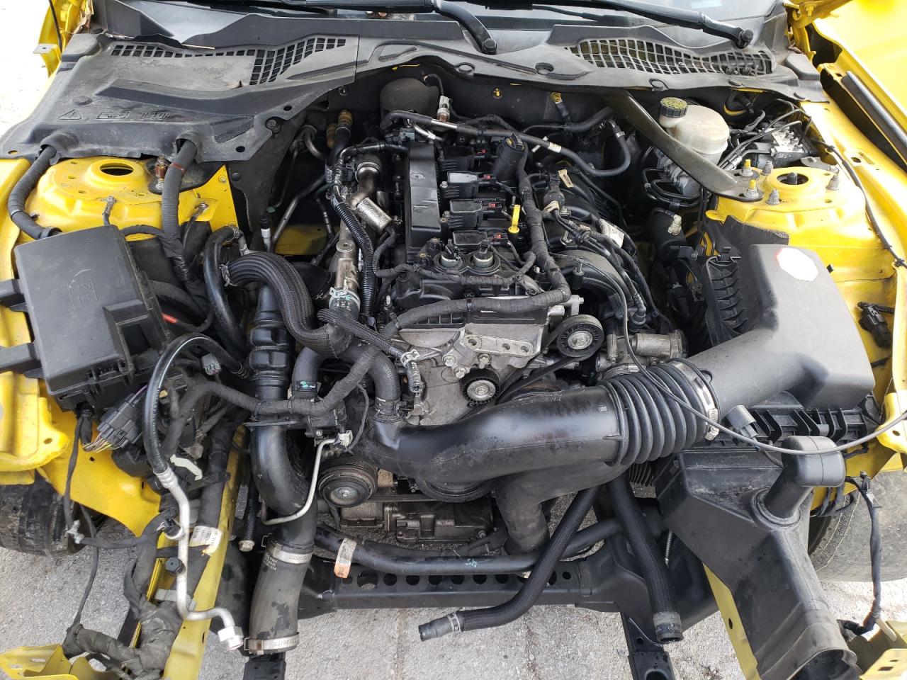 Photo 7 from auction – 2015 FORD MUSTANG with VIN 1FA6P8TH2F5407048